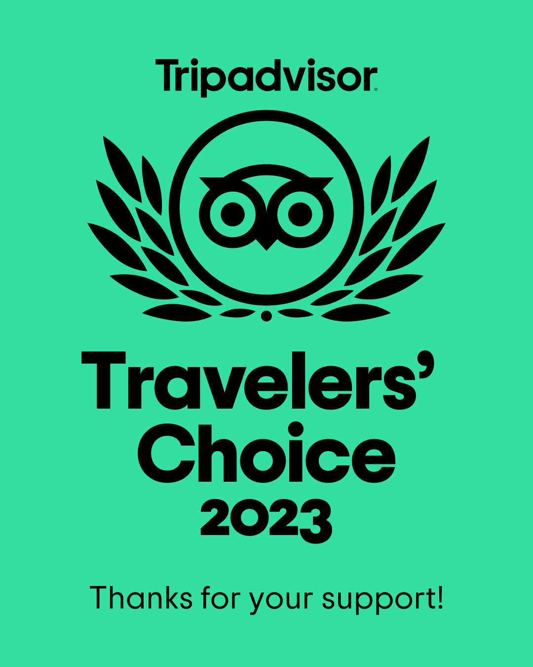 Trip Advisor Award